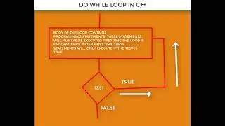 Introduction To Do While Loop In C++