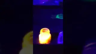 the glowing bottle #music