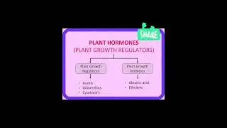 Plant hormones and their roles.