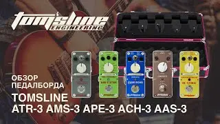 Обзор педалборда TOMSLINE (ATR-3 AMS-3 APE-3 ACH-3 AAS-3)