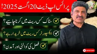 Till Export from Pakistan | Sesame Seeds Price 2025 | فَصل آ گئی | Bulk Supply for China Buyers