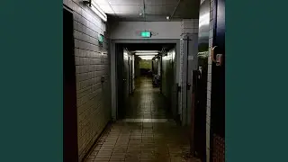 Monkey Island Freestyle
