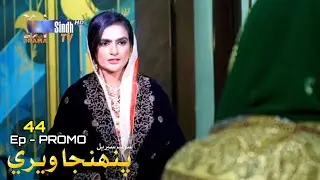Pahinja Wari | Episode 44 | Promo Review | Soap Serial Sindh TVHD Drama New Update