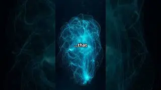 The Worm That Shoots Out Glowing Mucus Nets!