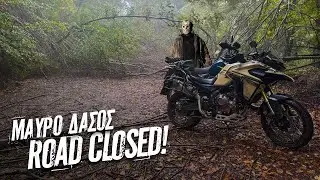 Χαρτογράφηση Στο Μαύρο Δάσος!