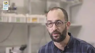Animal Models: Invertebrates, by Dr. Marco Mil&aacute;n (IRB Barcelona)