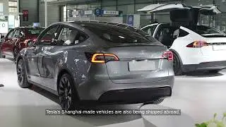 Tesla's China Sales Drop for 5th Month: 73,145 Cars Sold in November