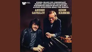 Grand duo concertant, Op. 48, J. 204: I. Allegro con fuoco