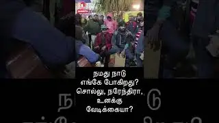 Desi Nero Plays Flute: 