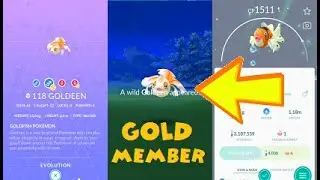 Pokemon Go Shiny Goldeen & Seaking Evolution after 65 Tries