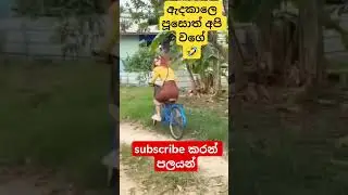 cat video #🤣🤣