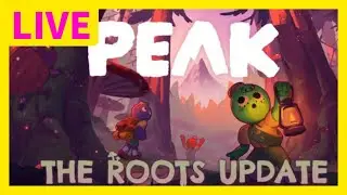 初日の出を見に山を登ります　新エリアがあるらしいPEAK！　（人いなかったらお絵描き）