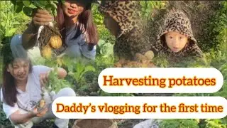 Harvesting potatoes || Daddy&rsquo;s Blogging for the first time 😍#familyvlog #gardenplants #bestmoments 🧿