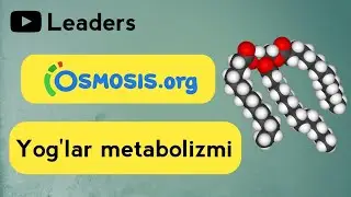 Yog'lar Metabolizmi | Erkin dublyaj