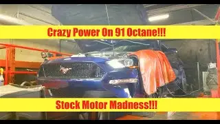 DYNO - 2018 Mustang GT Hellion Twin Turbo Sleeper Kit Is A Beast!