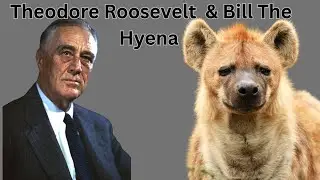 Teddy Roosevelt&rsquo;s Wildest Pet Ever! #didyouknow #viralvideo #didyouknow #teddyroosevelt #hyena