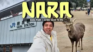 Quick Trip to Nara, Last Days before going back to PH🥲 Day 7 and 8 in Japan