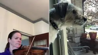 SLSO at Home | Kristin Ahlstrom, violin