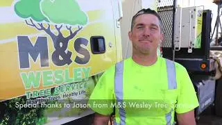 REAL Arborist Explains BEST Tree Trucks | What They Really NEED | Tree Service Trucks 001