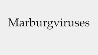 How to Pronounce Marburgviruses