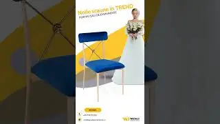 Scaune HORECA super rezistente Crema Albastru