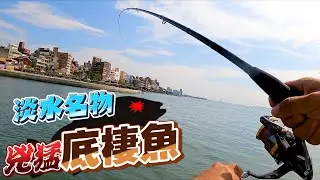 淡水名產接力!就在瓜瓜大咬的隔天，竟然跑出大量的兇猛底棲魚?!