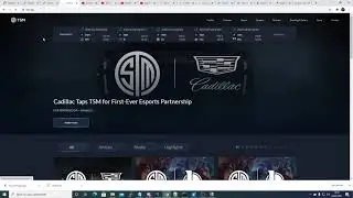 Buz1n Ddos Panel Down TSM Website !