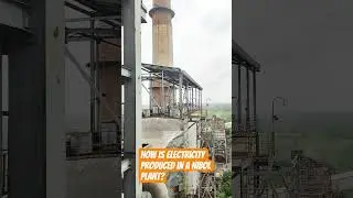 #shortvideo #viralvideo #teandingreels #इंडिया #Nibol