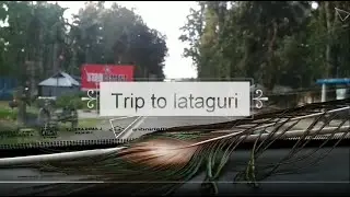 Lataguri resort stay | Gorumara national park |  Murti River bath | Resort Indrapuri | Dooars tour