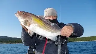 Two nice groupers on Light Jigging. Feat ZENAQ Fokeeto whippy FB 60-1