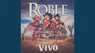 Popurri de Cumbias (En Vivo)
