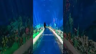 Парк Галицкого- лучший парк в мире!