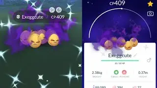 WE CAUGHT SHINY SHADOW EXEGGCUTE! POKEMON GO ALL-HANDS ROCKET RETREAT EVENT 2022!