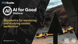 Biorobotics for emulating and studying animal locomotion