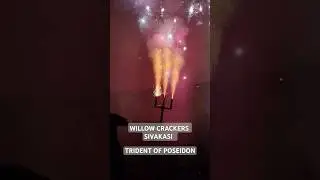 TRIDENT OF POSEIDON By MERCURY CRACKERS FIREWORKS SIVAKASI @willowcrackerssivakasi