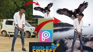 new eagle 🦅 concept photo editing in picsart