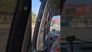 Tum Bus Mumbai Aao ✨ Ghumne Ki Zimmedari Meri | City of Dreams 🌆 Amchi Mumbai 😇