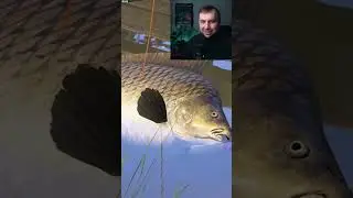 Trophies don't go away... They said... ● Russian Fishing 4 | RR4