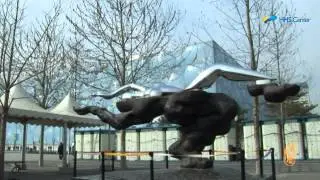 HHS Center: Beijing Spotlight - China National Stadium and Aquatic Center