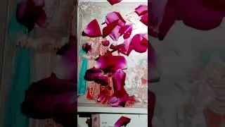 hamri sadi me abhi bakibhai hafte 4🥰😍😜