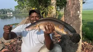 Gajab bahut big size sneakhead,Fishholic Deadly Hunt Bait casting reel rod se sikar 