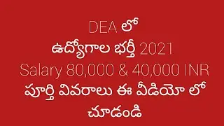 DEA Recruitment 2021 || Ministry of Finance||Salary 80,000||Young Professionals||Consultant