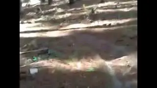 Kuitpo Forest Single Track Part 1