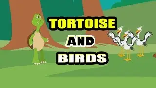 Moral Story For Kids in English | The Tortoise And The Birds | Animal & Jungle Story