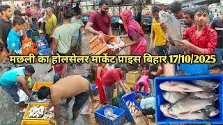 मछली होलसेलर मार्केट प्राइस बिहार|Fish Wholesaler Market Price Purnia Bihar