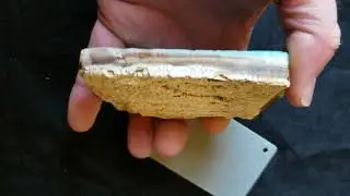Polished Indonesian Petrified Opal Wood Specimen with Bark - 02