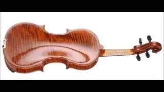 Ji Hwan Park - 1st Prize - 13th Wieniawski Violin Making Comp. | binaural recording | chamber hall