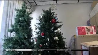 The Christmas Tree Project in Colorado Springs