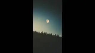 2Scratch TYPE BEAT (prod. SACRED SKUNK &times; BOXCVTTER)