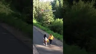 Explore Moscow and the great outdoors  🤩🌳